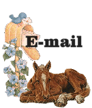 e-mail.gif (11982 bytes)